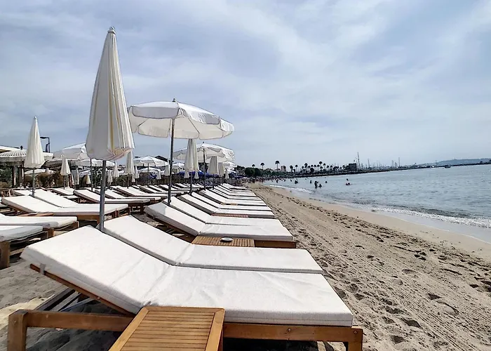 Totolulu Cannes Luxury Properties - Le Loft Daire *