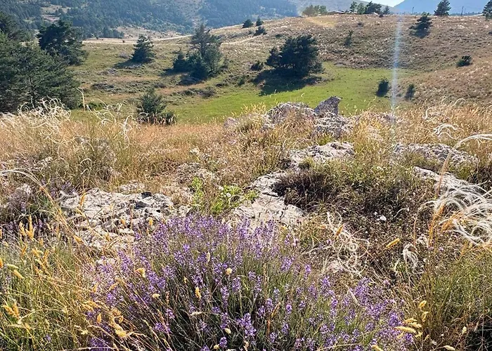Totolulu Cannes Luxury Properties - Le Loft شقة كان